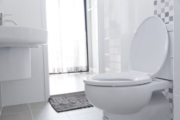 Cost of Toilet Relocation in Palmetto