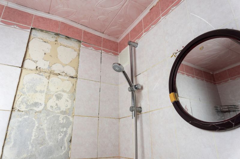 Top Shower Remodeling Companies in Palmetto, FL